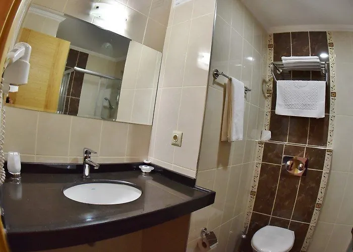 أضنة بارك فندق